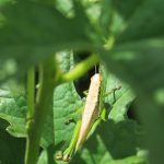 IMG_4357