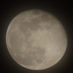 IMG_4775